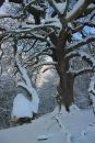 Dec 22nd 2010 Wigmore